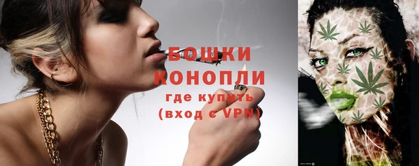 сатива Богородицк