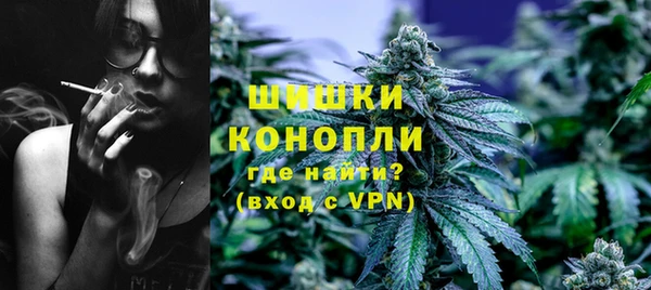 сатива Богородицк